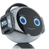 voicebot
